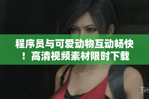程序員與可愛動物互動暢快！高清視頻素材限時下載