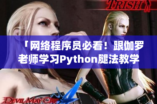 「網(wǎng)絡程序員必看！跟伽羅老師學習Python腿法教學視頻」