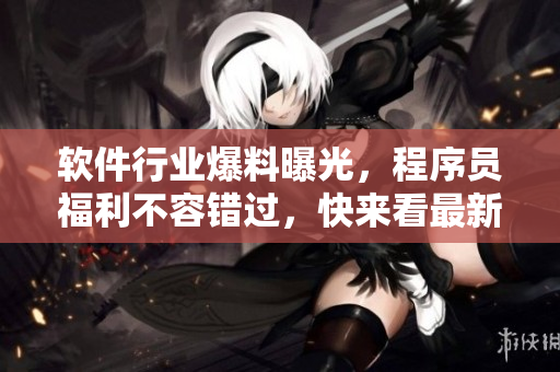 軟件行業(yè)爆料曝光，程序員福利不容錯過，快來看最新軟件開發(fā)內(nèi)幕公開報道