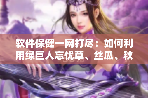 軟件保健一網(wǎng)打盡：如何利用綠巨人忘憂(yōu)草、絲瓜、秋葵與黃來(lái)優(yōu)化電腦性能