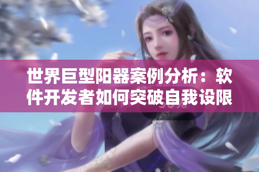 世界巨型陽器案例分析：軟件開發(fā)者如何突破自我設限？