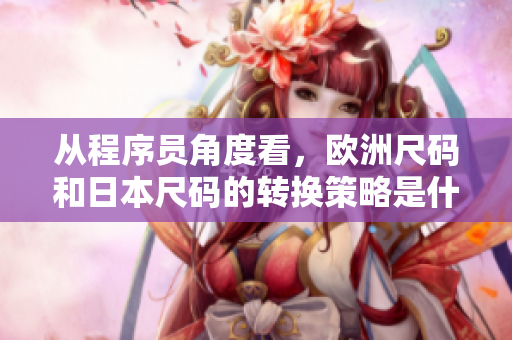 從程序員角度看，歐洲尺碼和日本尺碼的轉(zhuǎn)換策略是什么？
