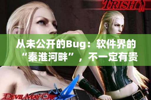 從未公開的Bug：軟件界的“秦淮河畔”，不一定有貴妃？