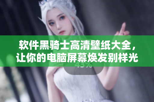 軟件黑騎士高清壁紙大全，讓你的電腦屏幕煥發(fā)別樣光芒！