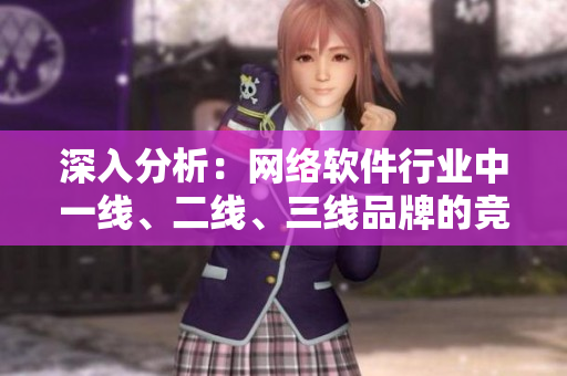 深入分析：網(wǎng)絡(luò)軟件行業(yè)中一線、二線、三線品牌的競(jìng)爭(zhēng)格局調(diào)查