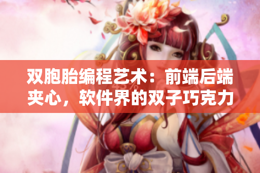 雙胞胎編程藝術(shù)：前端后端夾心，軟件界的雙子巧克力