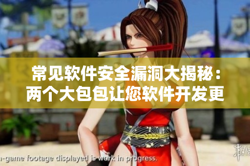 常見軟件安全漏洞大揭秘：兩個(gè)大包包讓您軟件開發(fā)更放心