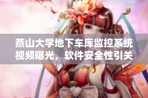 燕山大學(xué)地下車(chē)庫(kù)監(jiān)控系統(tǒng)視頻曝光，軟件安全性引關(guān)注