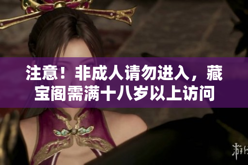 注意！非成人請勿進(jìn)入，藏寶閣需滿十八歲以上訪問