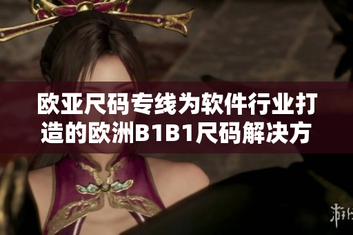 歐亞尺碼專線為軟件行業(yè)打造的歐洲B1B1尺碼解決方案