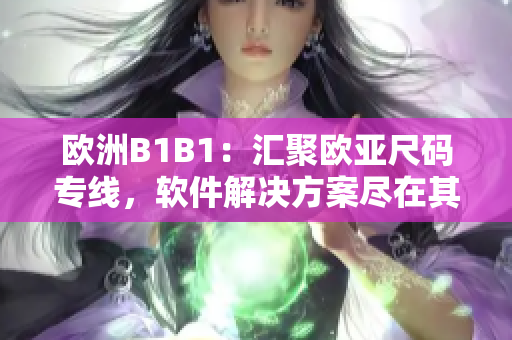 歐洲B1B1：匯聚歐亞尺碼專線，軟件解決方案盡在其中