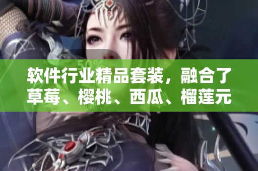 軟件行業(yè)精品套裝，融合了草莓、櫻桃、西瓜、榴蓮元素