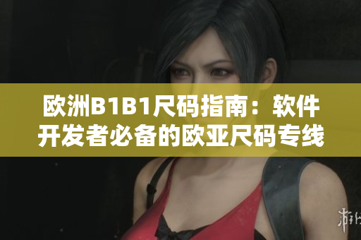 歐洲B1B1尺碼指南：軟件開(kāi)發(fā)者必備的歐亞尺碼專線