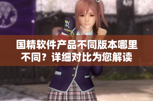 國精軟件產(chǎn)品不同版本哪里不同？詳細對比為您解讀