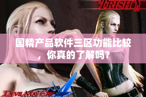 國精產(chǎn)品軟件三區(qū)功能比較，你真的了解嗎？