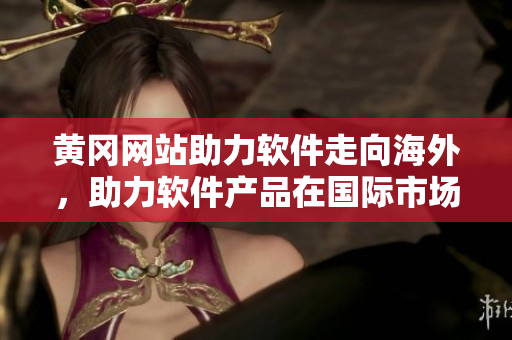 黃岡網(wǎng)站助力軟件走向海外，助力軟件產(chǎn)品在國際市場上大放異彩