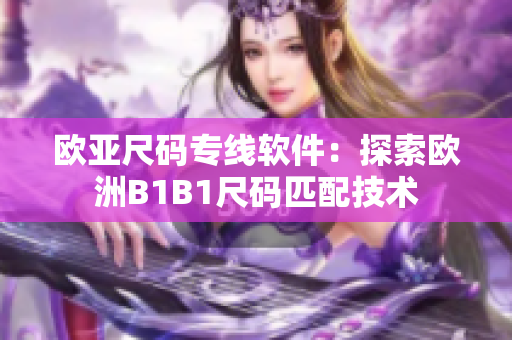 歐亞尺碼專(zhuān)線軟件：探索歐洲B1B1尺碼匹配技術(shù)
