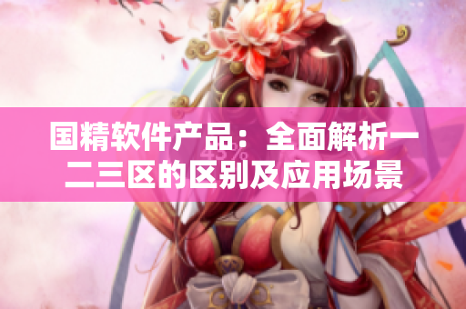 國精軟件產品：全面解析一二三區(qū)的區(qū)別及應用場景