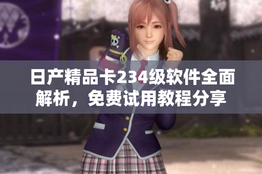 日產(chǎn)精品卡234級軟件全面解析，免費試用教程分享
