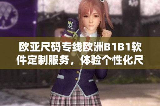 歐亞尺碼專線歐洲B1B1軟件定制服務(wù)，體驗個性化尺碼解決方案