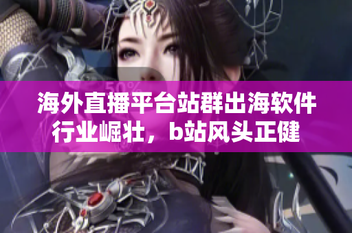 海外直播平臺站群出海軟件行業(yè)崛壯，b站風頭正健