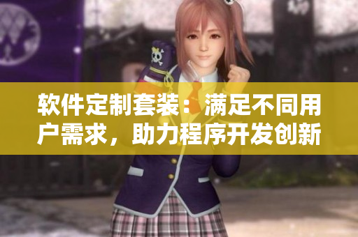 軟件定制套裝：滿足不同用戶需求，助力程序開發(fā)創(chuàng)新