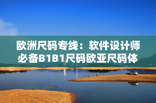 歐洲尺碼專線：軟件設(shè)計師必備B1B1尺碼歐亞尺碼體驗