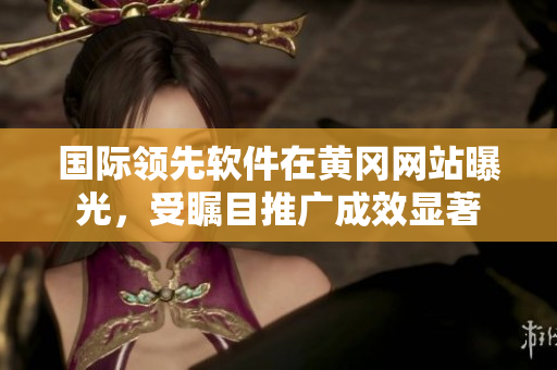 國(guó)際領(lǐng)先軟件在黃岡網(wǎng)站曝光，受矚目推廣成效顯著