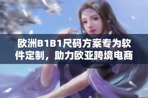 歐洲B1B1尺碼方案專為軟件定制，助力歐亞跨境電商擴展