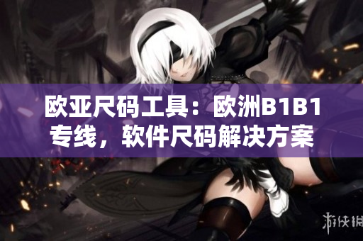 歐亞尺碼工具：歐洲B1B1專線，軟件尺碼解決方案