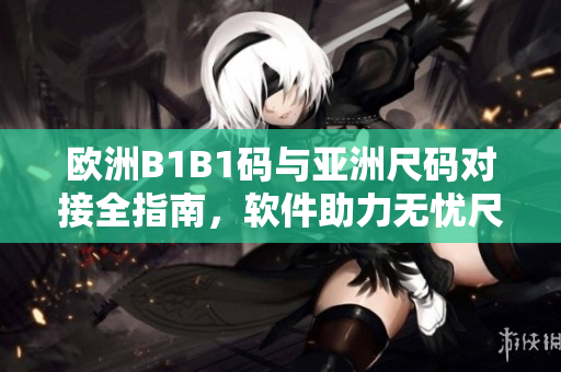 歐洲B1B1碼與亞洲尺碼對(duì)接全指南，軟件助力無憂尺碼轉(zhuǎn)換