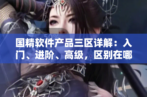 國精軟件產(chǎn)品三區(qū)詳解：入門、進(jìn)階、高級，區(qū)別在哪？