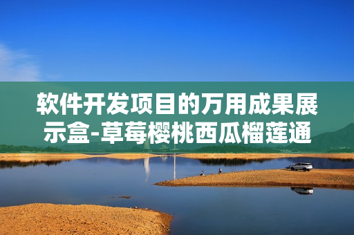 軟件開發(fā)項目的萬用成果展示盒-草莓櫻桃西瓜榴蓮通用包裝盒