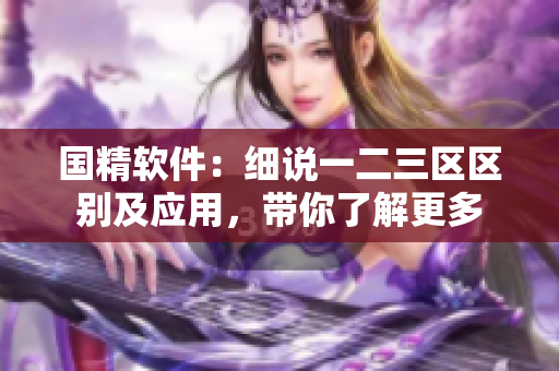 國精軟件：細說一二三區(qū)區(qū)別及應用，帶你了解更多