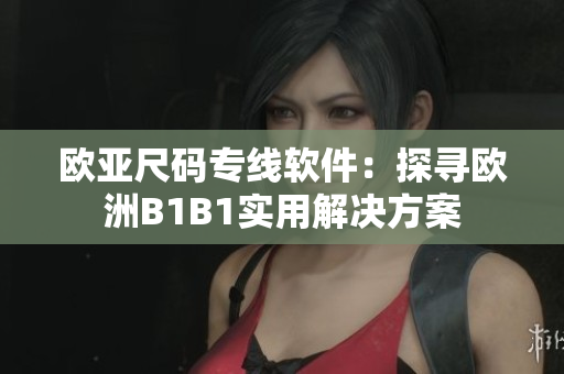 歐亞尺碼專線軟件：探尋歐洲B1B1實用解決方案