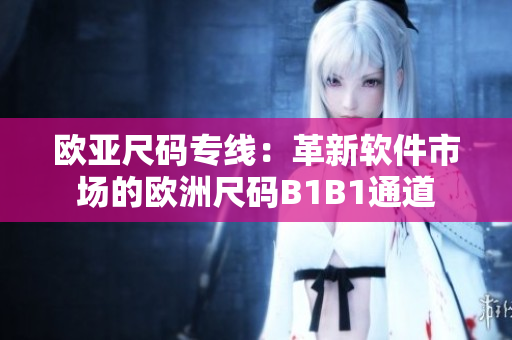 歐亞尺碼專(zhuān)線：革新軟件市場(chǎng)的歐洲尺碼B1B1通道