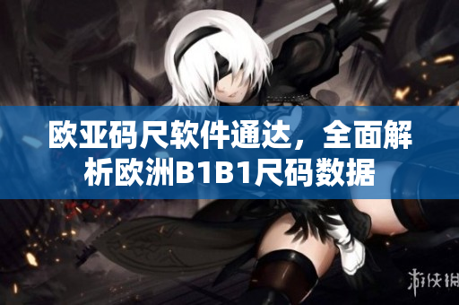 歐亞碼尺軟件通達(dá)，全面解析歐洲B1B1尺碼數(shù)據(jù)