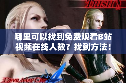 哪里可以找到免費觀看B站視頻在線人數(shù)？找到方法！