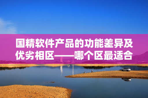 國精軟件產(chǎn)品的功能差異及優(yōu)劣相區(qū)——哪個區(qū)最適合你？