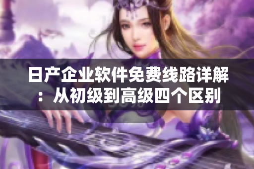 日產(chǎn)企業(yè)軟件免費(fèi)線路詳解：從初級到高級四個區(qū)別