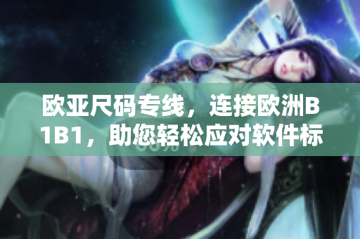 歐亞尺碼專線，連接歐洲B1B1，助您輕松應(yīng)對(duì)軟件標(biāo)準(zhǔn)大小