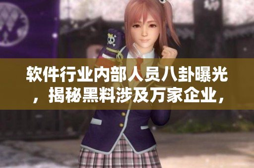軟件行業(yè)內部人員八卦曝光，揭秘黑料涉及萬家企業(yè)，讓你對軟件深度了解
