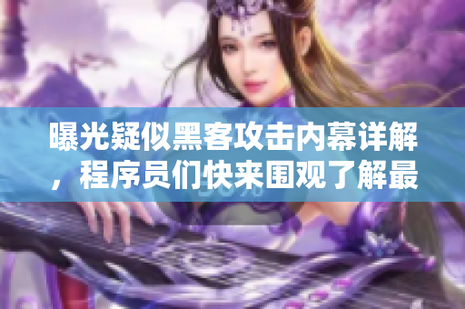曝光疑似黑客攻擊內(nèi)幕詳解，程序員們快來(lái)圍觀了解最新信息