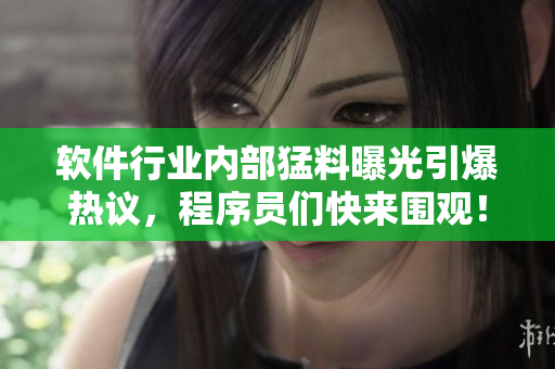 軟件行業(yè)內(nèi)部猛料曝光引爆熱議，程序員們快來圍觀！