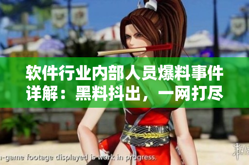 軟件行業(yè)內(nèi)部人員爆料事件詳解：黑料抖出，一網(wǎng)打盡萬(wàn)里長(zhǎng)征，話題鮮活如常