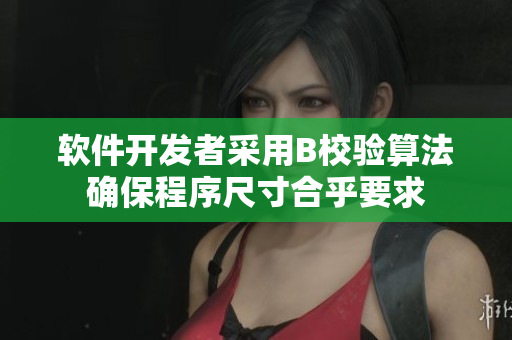 軟件開發(fā)者采用B校驗算法確保程序尺寸合乎要求