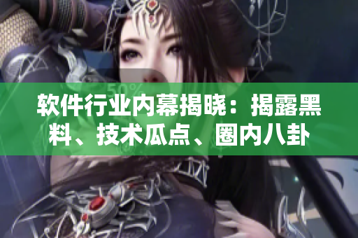 軟件行業(yè)內(nèi)幕揭曉：揭露黑料、技術(shù)瓜點(diǎn)、圈內(nèi)八卦
