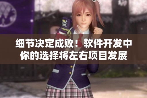 細(xì)節(jié)決定成?。≤浖_發(fā)中你的選擇將左右項(xiàng)目發(fā)展