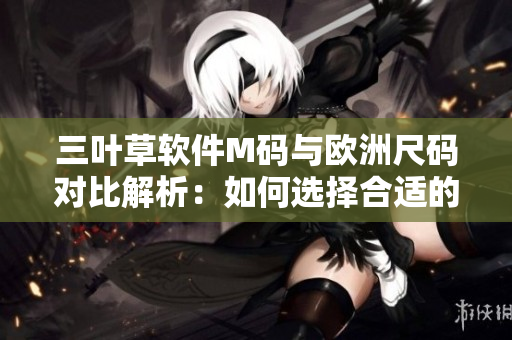 三葉草軟件M碼與歐洲尺碼對比解析：如何選擇合適的軟件版本？