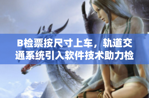 B檢票按尺寸上車，軌道交通系統(tǒng)引入軟件技術(shù)助力檢票員管理